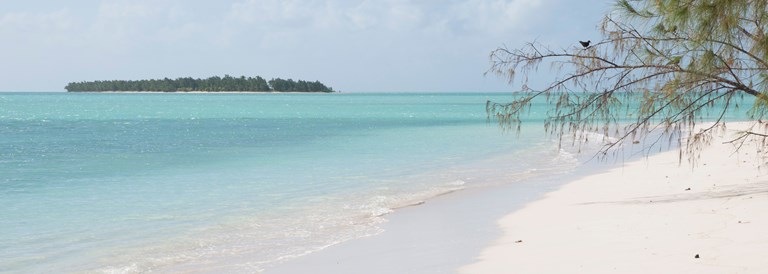 La plage de l'île aux oiseaux à Rodrigues