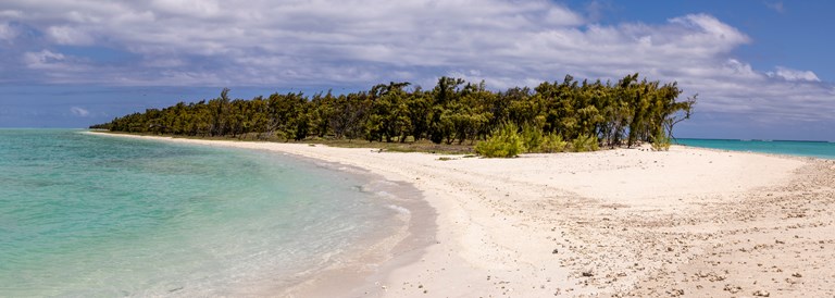 Le décor unique de l'îlot aux Cocos