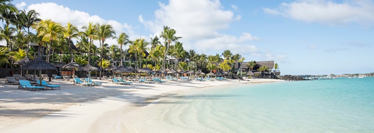Royal Palm Beachcomber