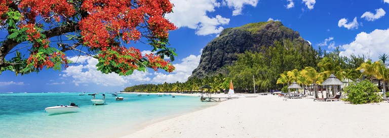Noël à l'île Maurice