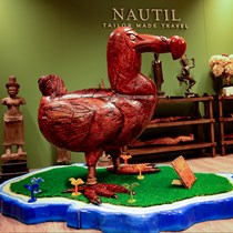 Un dodo de 250 kg prend ses quartiers chez Nautil